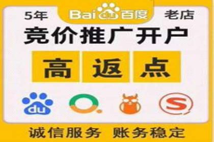 SEM代运营公司案例：精准营销策略